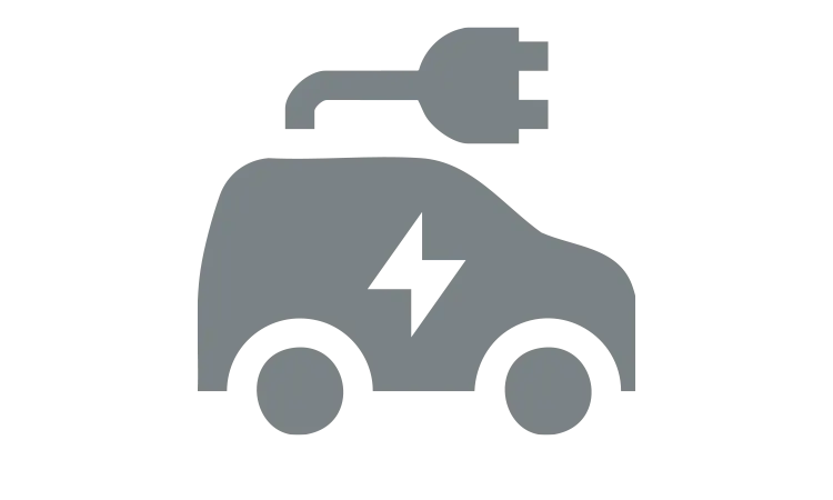 msm dealer - Rapid Charge Icon